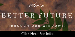 Better Future